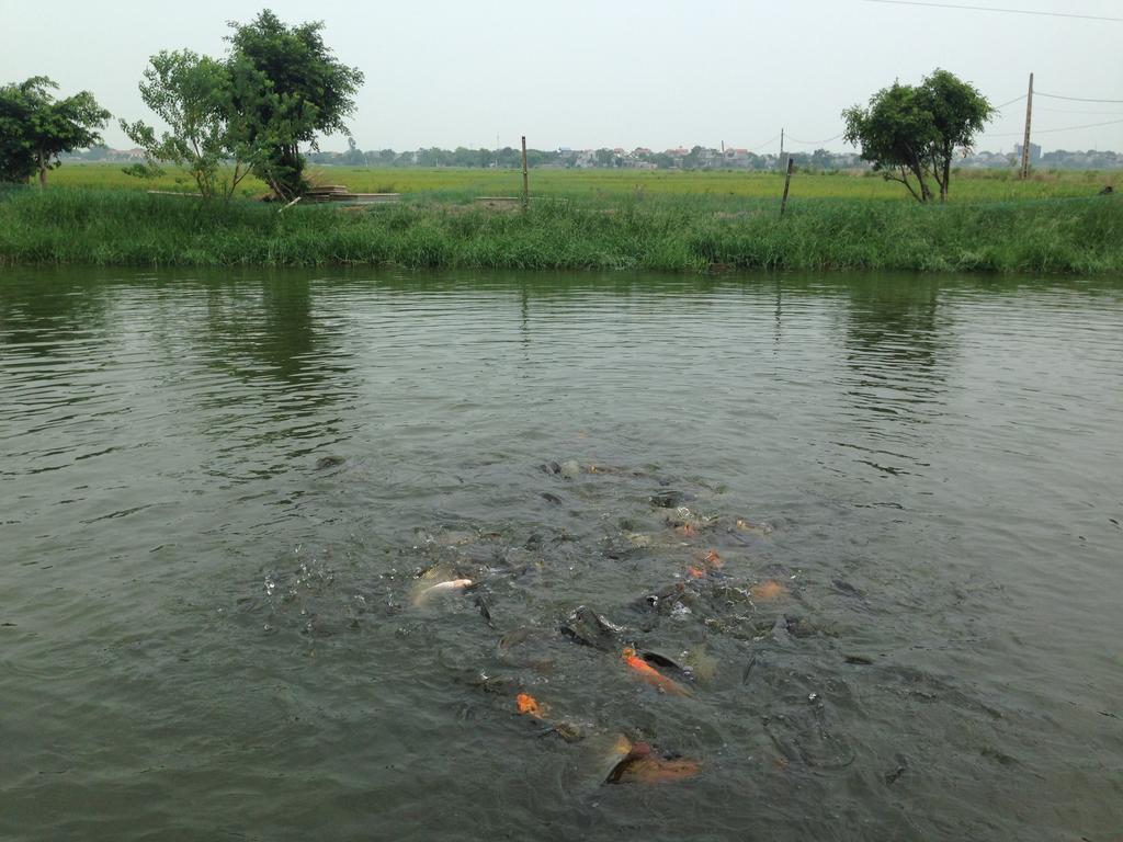 Tam Coc Homestay Ninh Binh Eksteriør bilde