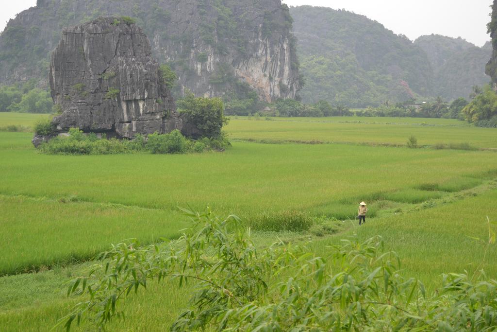 Tam Coc Homestay Ninh Binh Eksteriør bilde