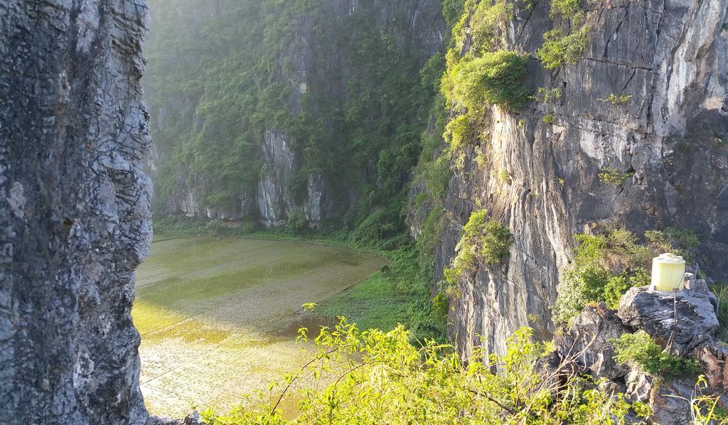 Tam Coc Homestay Ninh Binh Eksteriør bilde